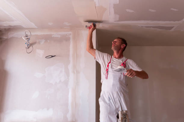 Best Drywall Removal and Disposal  in Dale, IN